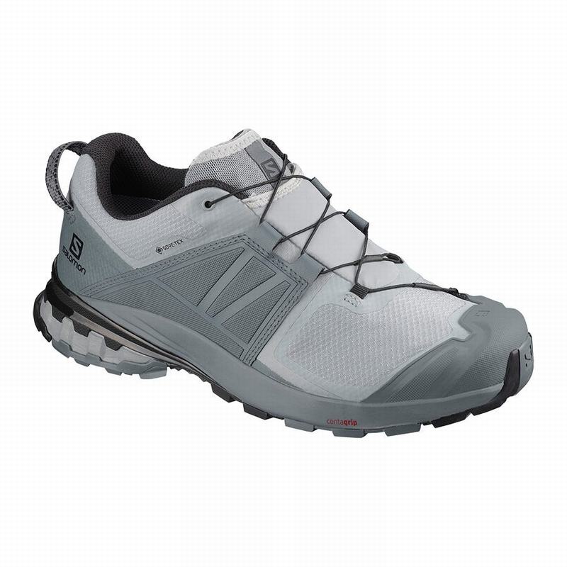 Salomon Trail Løbesko Herre Grå - XA WILD GORE-TEX (DIGBR-5176)